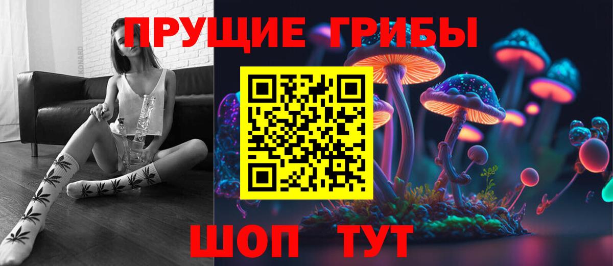 Канаш  Псилоцибиновые грибы прущие грибы  Вход с VPN 